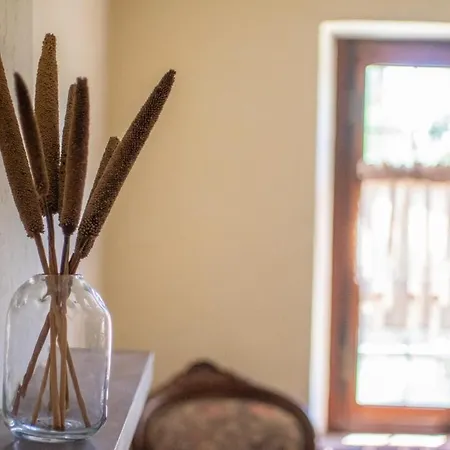 아파트 Ospitalita Le Coco San Paolo Solbrito