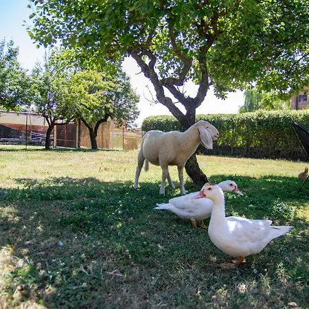 Ospitalita Le Coco Appartement *